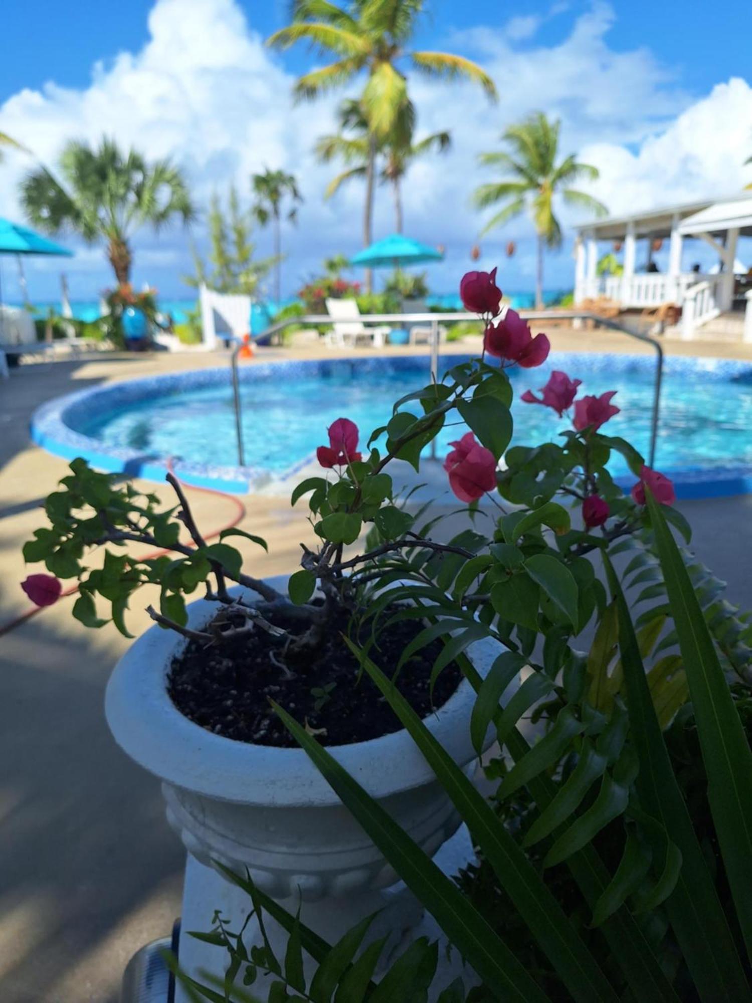 Sibonne Beach Hotel Grace Bay Exterior photo